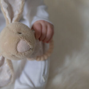 Ziggle Bunny Plush Rattle