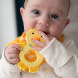 Ziggle Duck Teether