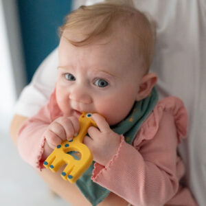 Ziggle Giraffe Teether