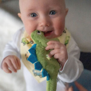 Ziggle Dinosaur Plush Rattle
