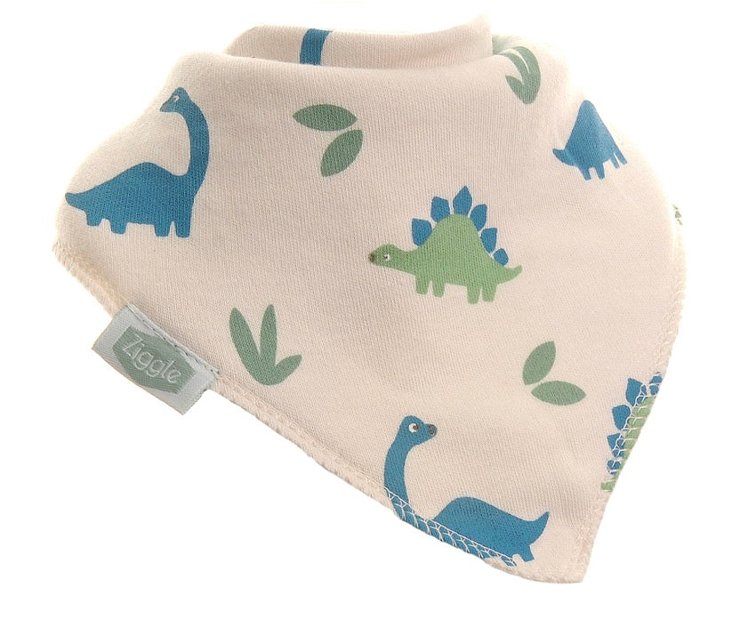Ziggle Dino Gift Set