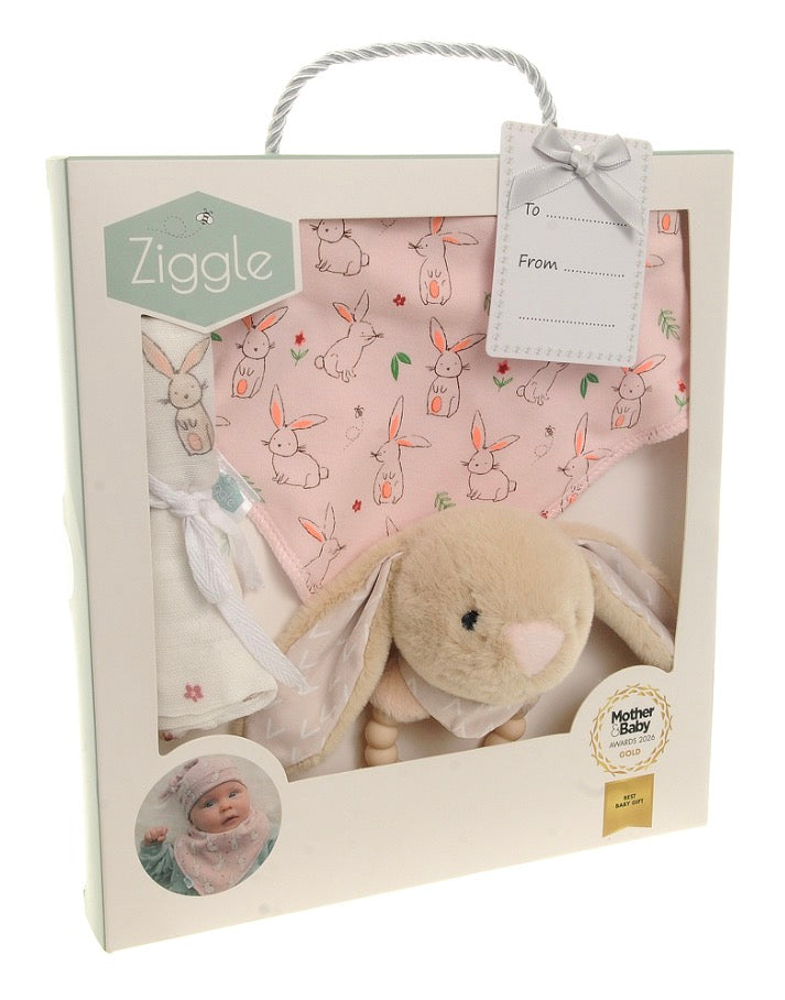 Ziggle Bunnies Gift Set