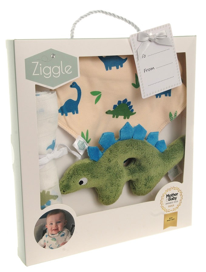 Ziggle Dino Gift Set