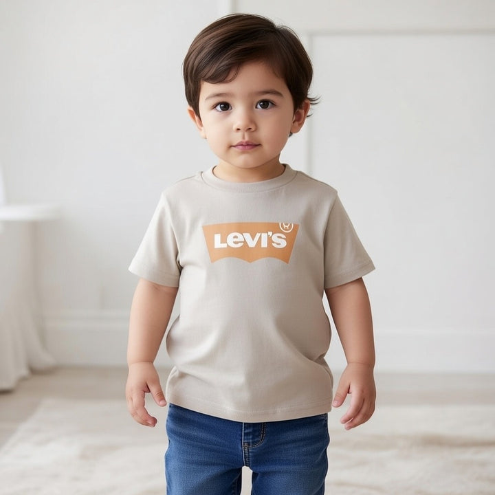 Levi’s Stone T-Shirt