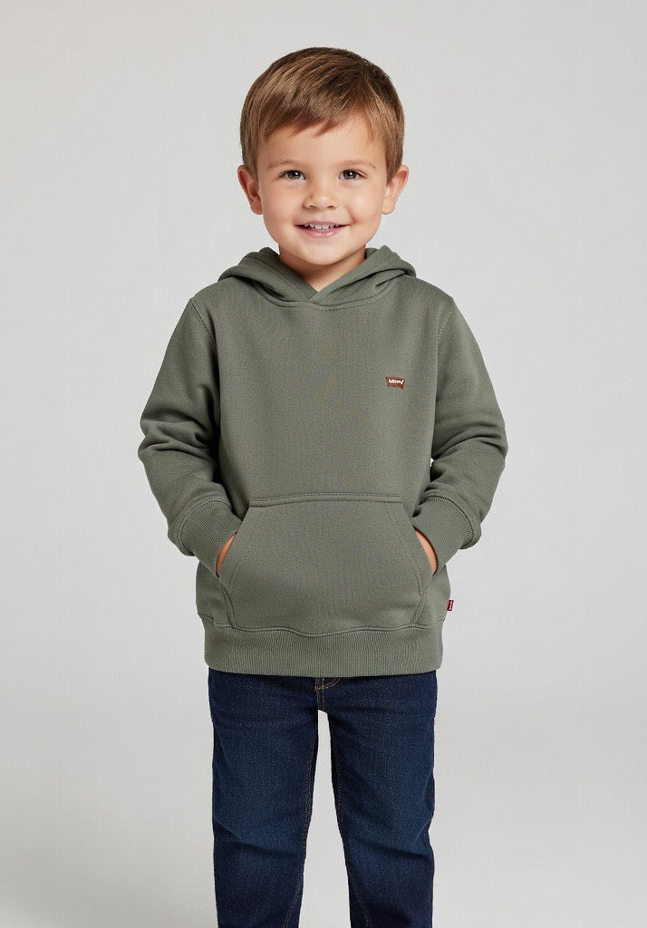 Levi’s Lichen Green Hoody